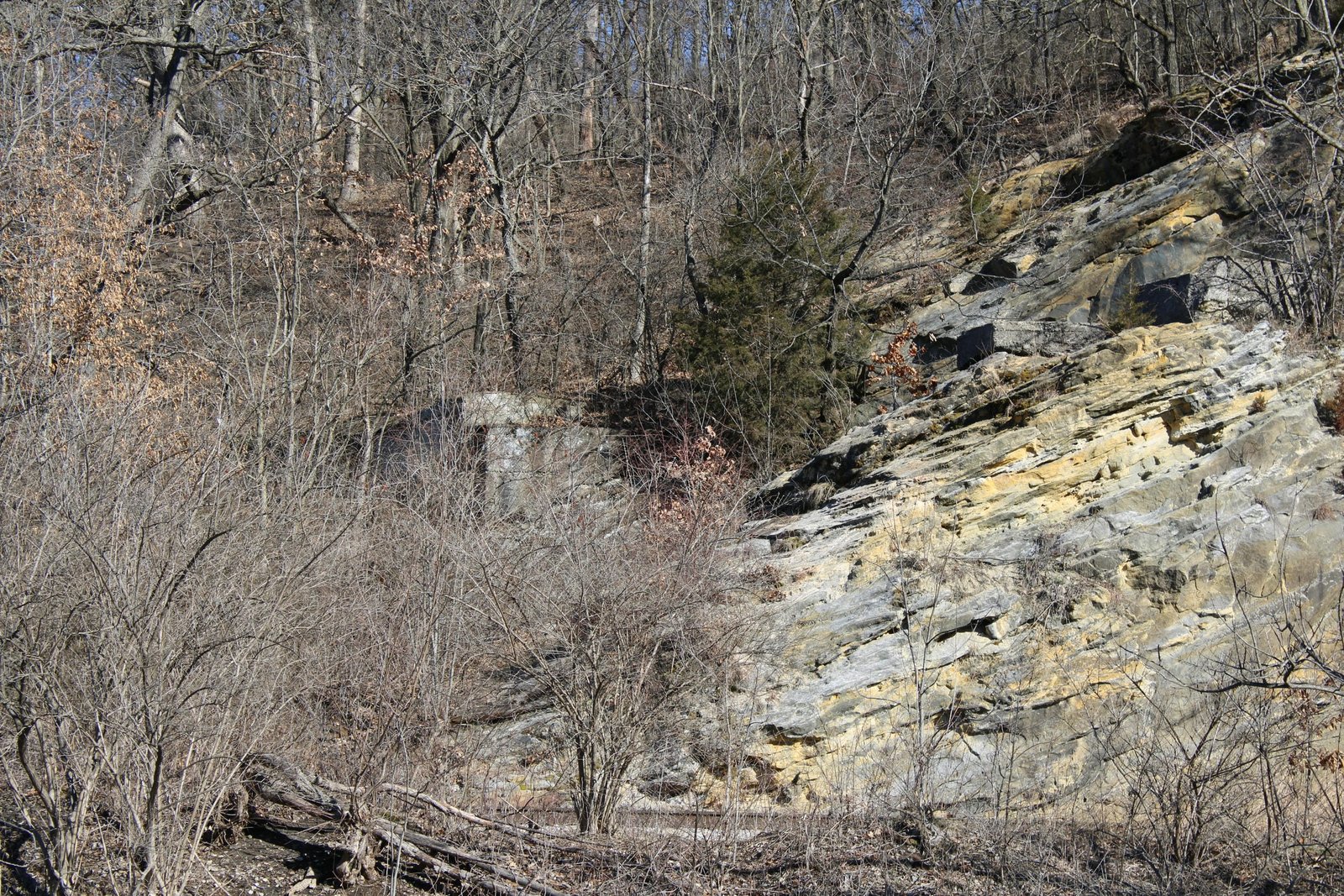 South wall of tunnel, showing where bluff was carved for interurban bridge